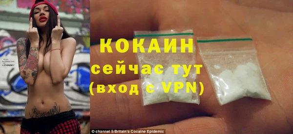 прущие грибы Балабаново