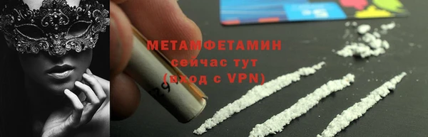 прущие грибы Новодвинск