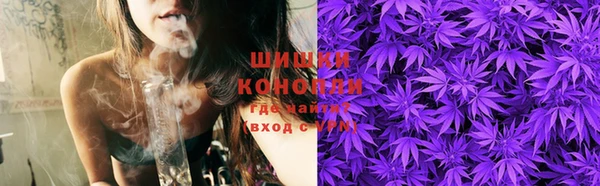 прущие грибы Балабаново