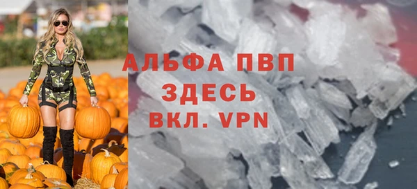 прущие грибы Балабаново
