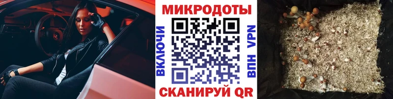 купить Верхотурье Псилоцибиновые грибы ЛСД